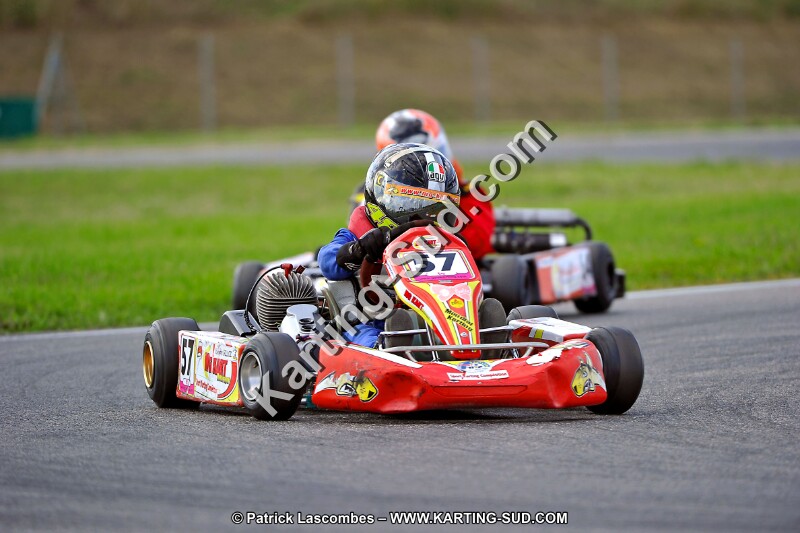 DSC_ (866).jpg